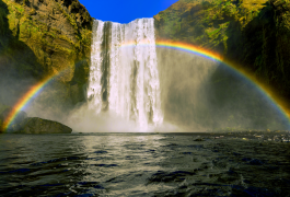 regenboog 40 lijst